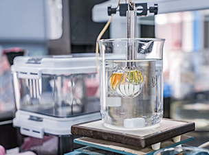 Laboratorio de detección